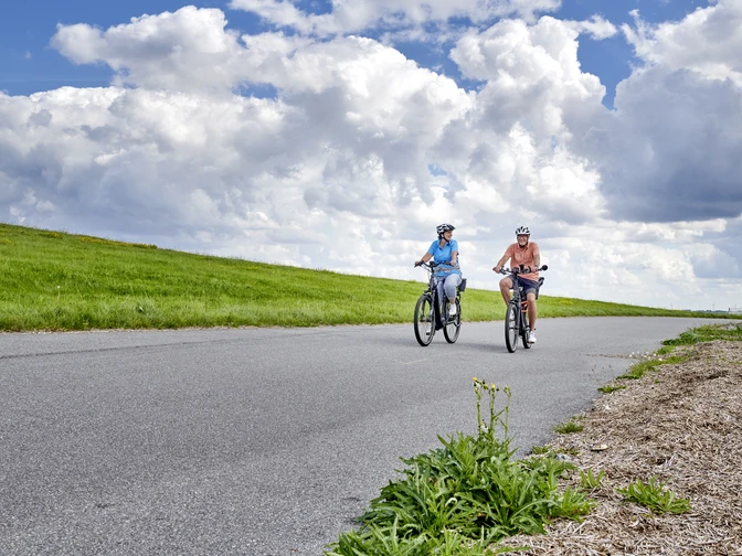 Radeln-am-Elbdeich-DT