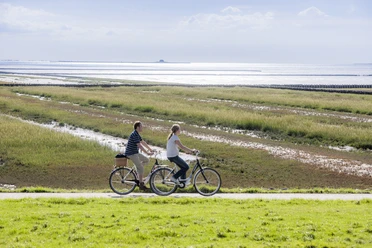 Radler_Deich_Wattenmeer_Ockholm_NF2716 (1)