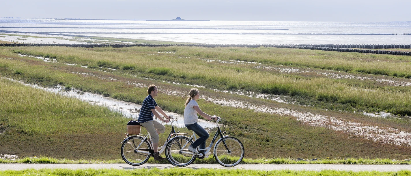 Radler_Deich_Wattenmeer_Ockholm_NF2716 (1)