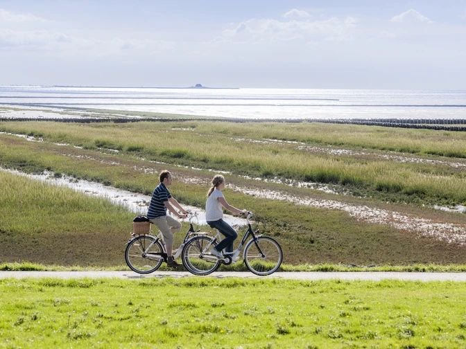 Radler_Deich_Wattenmeer_Ockholm_NF2716 (1)