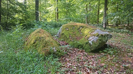 Stinnes-Dørnsk-Nørreskoven-Als©Conni-Ernst-(1)