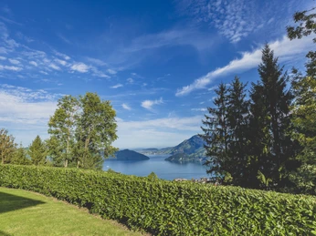 Aussicht von der Ferienwohnung Frey-Gygax
