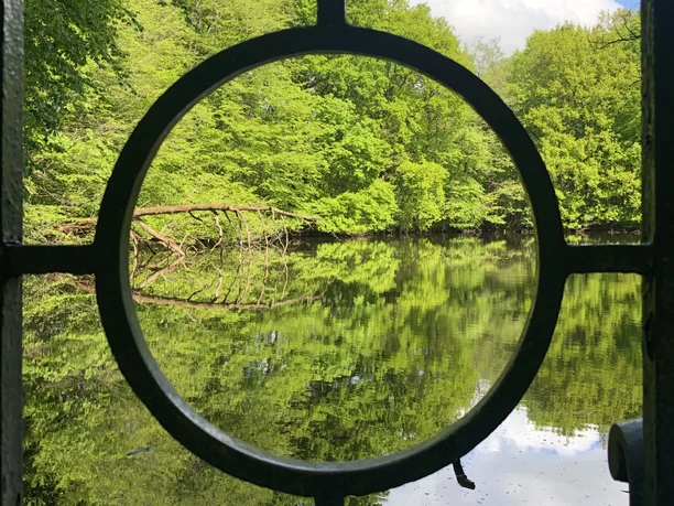 Rundteichbrücke Blick durch ein rundes Metallgitter auf einen ruhigen, von Bäumen umgebenen Teich.