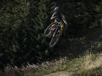 enduro-bike-herbst-aletsch-bike-bellwald-nico-brenner-06 (1).jpg