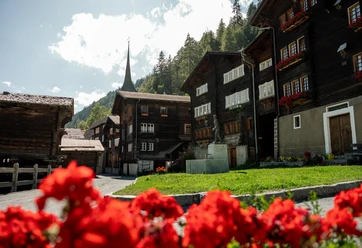 Dorf Niederwald Dorf Niederwald