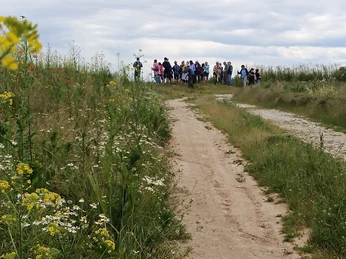 Weg zum Aussichtspunkt auf der Nordwestseite des Kaolin-Tagebaus Schleben/Crellenhain