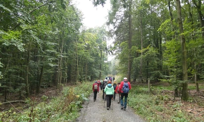 Gruppe Waldweg 2024 - CC BY-SA LTM.JPG