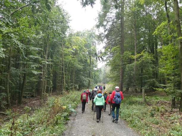 Gruppe Waldweg 2024 - CC BY-SA LTM.JPG
