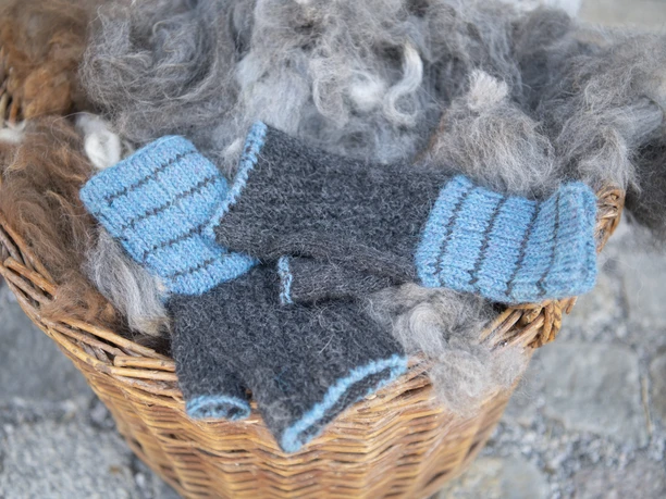 Alpakahof Riegsee Ein Korb mit grauer Alpakawolle und gestrickten, blauen Handschuhen.