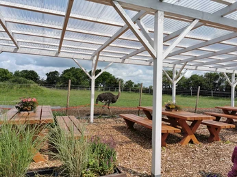 Straußenhof Dithmarschen: Terrasse Straußenhof Dithmarschen: überdachte Terrasse