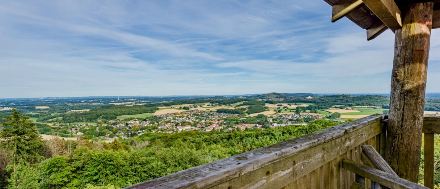 Luisenturm_pro Wirtschaft GT_Mario Wallenfang (3).jpeg Blick von einem hölzernen Aussichtsturm auf eine weitläufige grüne Hügellandschaft und Dörfer.