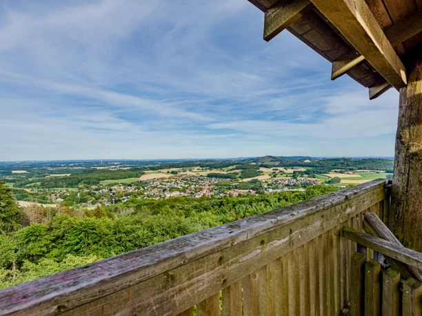Luisenturm_pro Wirtschaft GT_Mario Wallenfang (3).jpeg Blick von einem hölzernen Aussichtsturm auf eine weitläufige grüne Hügellandschaft und Dörfer.