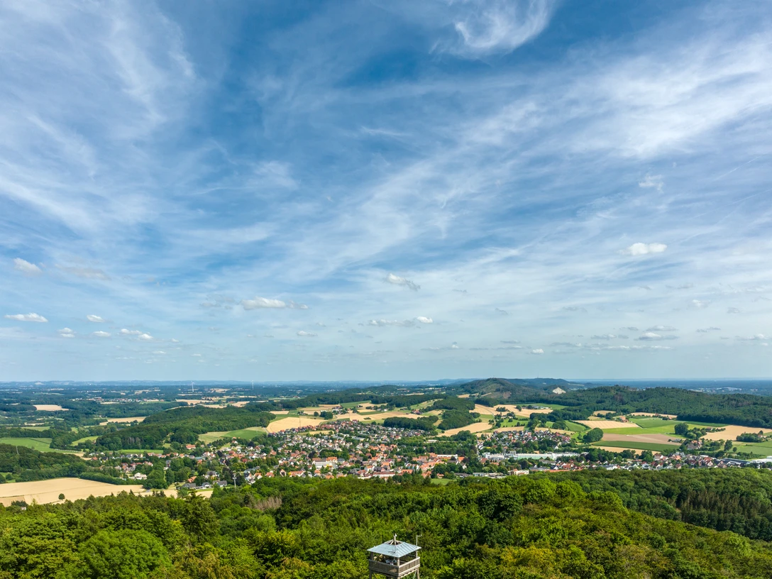 Borgholzhausen-Luisenturm-Teutoburger-Wald-Tourismus-D-Ketz-059.jpg Landschaft mit bewaldetem Hügel, darüber ein hoher Turm, im Hintergrund weite Felder und blauer Himmel.