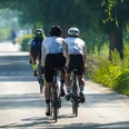 Drei Personen in sportlicher Kleidung fahren auf Fahrrädern auf einem geteerten Weg zwischen Bäumen.