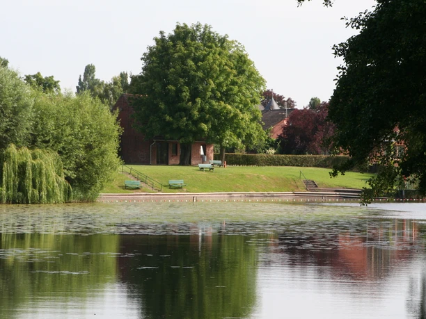 Blender See Tranquil lake with water lilies, gently sloping banks, green benches and a pavilion in the background.