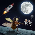 Create,Image,With,Moon,,Corn,Beetle,With,Violin,,Rocket,,Space, Create,Image,With,Moon,,Corn,Beetle,With,Violin,,Rocket,,Space,
