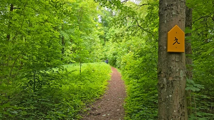 Finnenbahn-Waldecker-Berg