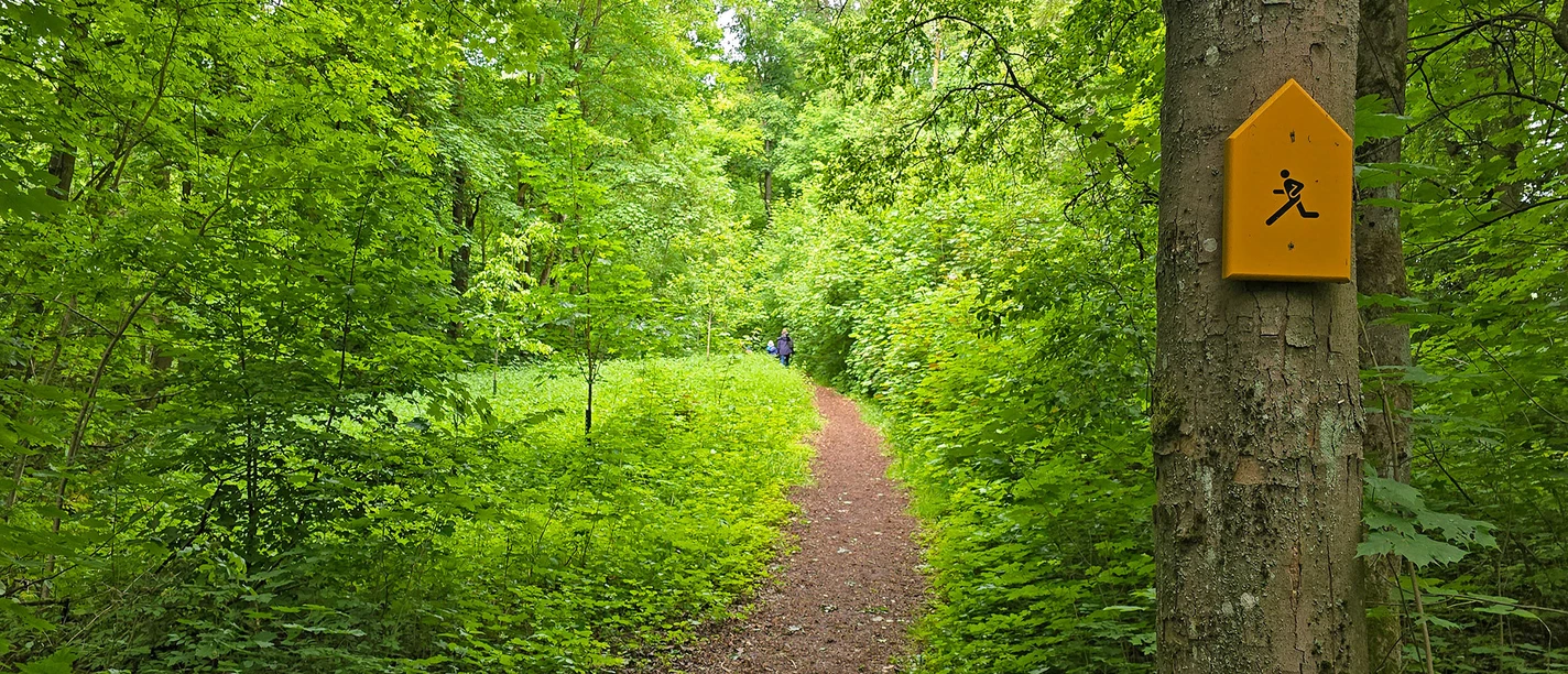Finnenbahn-Waldecker-Berg