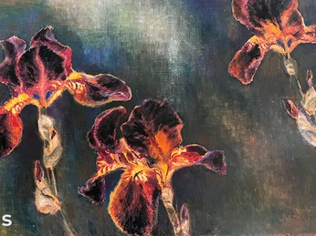 Dea_Enna-2025-Foto2-Iris