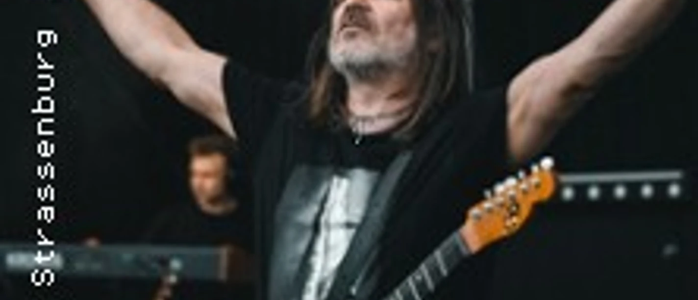 Musiker mit elektrischer Gitarre bei Live-Auftritt mit Mikrofon in der Hand.