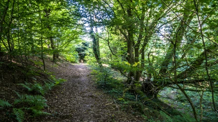 Naturschutzgebiet Knickbrink