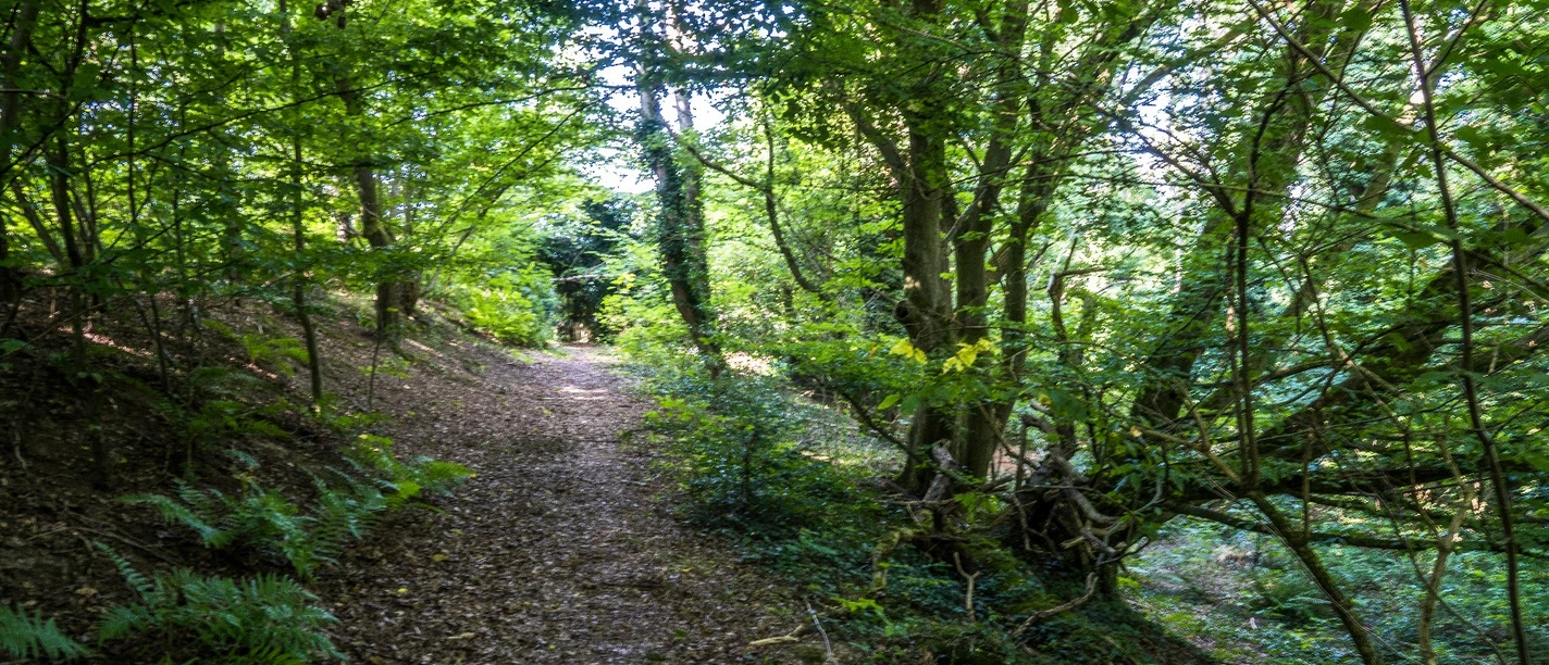 Naturschutzgebiet Knickbrink