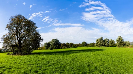 Naturschutzgebiet Aher Kämpe