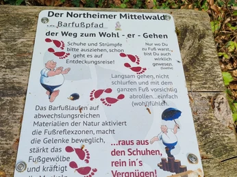 Der Barfußpfad