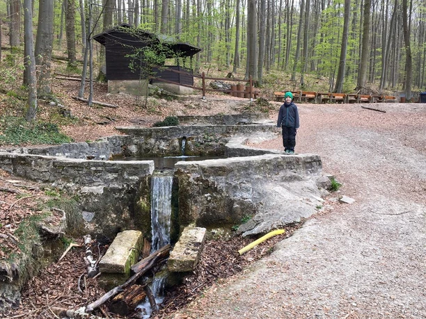 Ducksteinquelle bei Moringen_Wasserfall