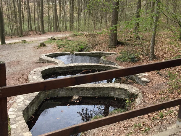 1Ducksteinquelle bei Moringen