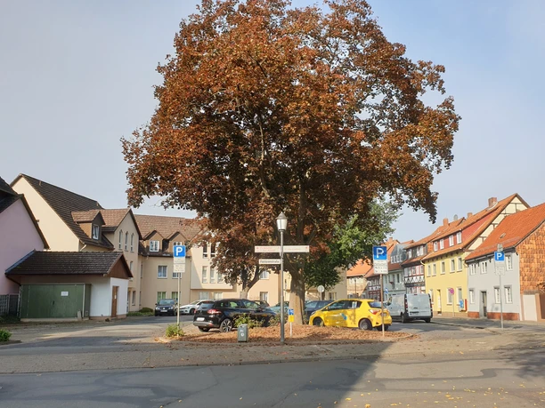 Parkplatz Breil_Parkplätze