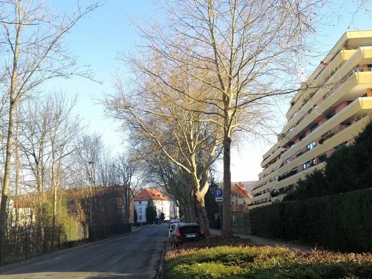 Langer Wall_Ecke Tiedexer Tor