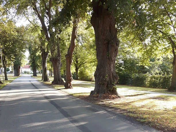 Hubeweg_Hinauf zur Hube