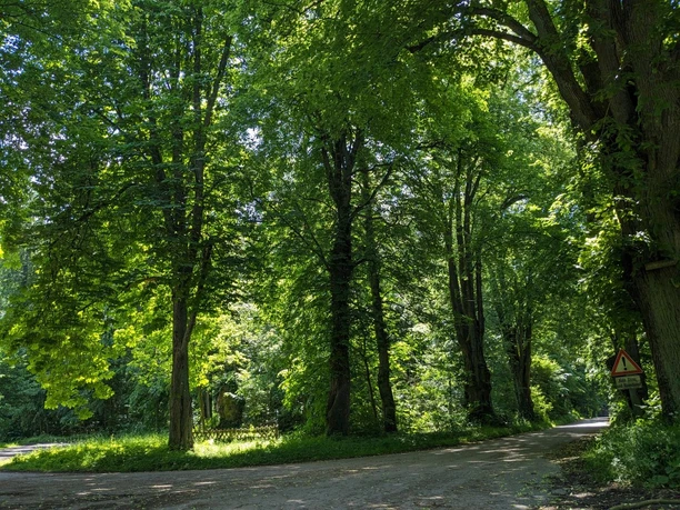 Hube_Parkplatz_CC-BY_Einbeck Tourismus (2).jpg