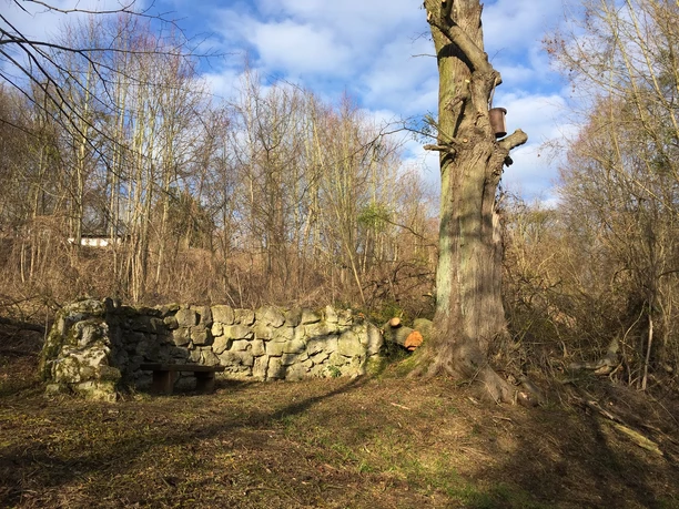 Naturgebiet Kirschenberg_Sonnenschein