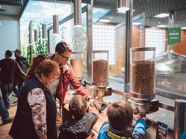 Probieren geht über Studieren – Probierstation bei der Brauereibesichtigung. Probieren geht über Studieren – Probierstation bei der Brauereibesichtigung.