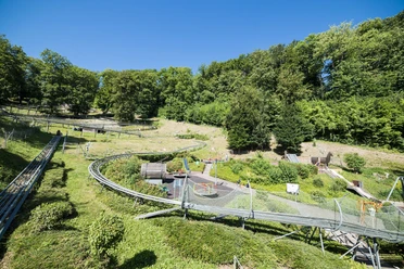 Sommer- Rodelbahn Bodenwerder_Rodelbahn