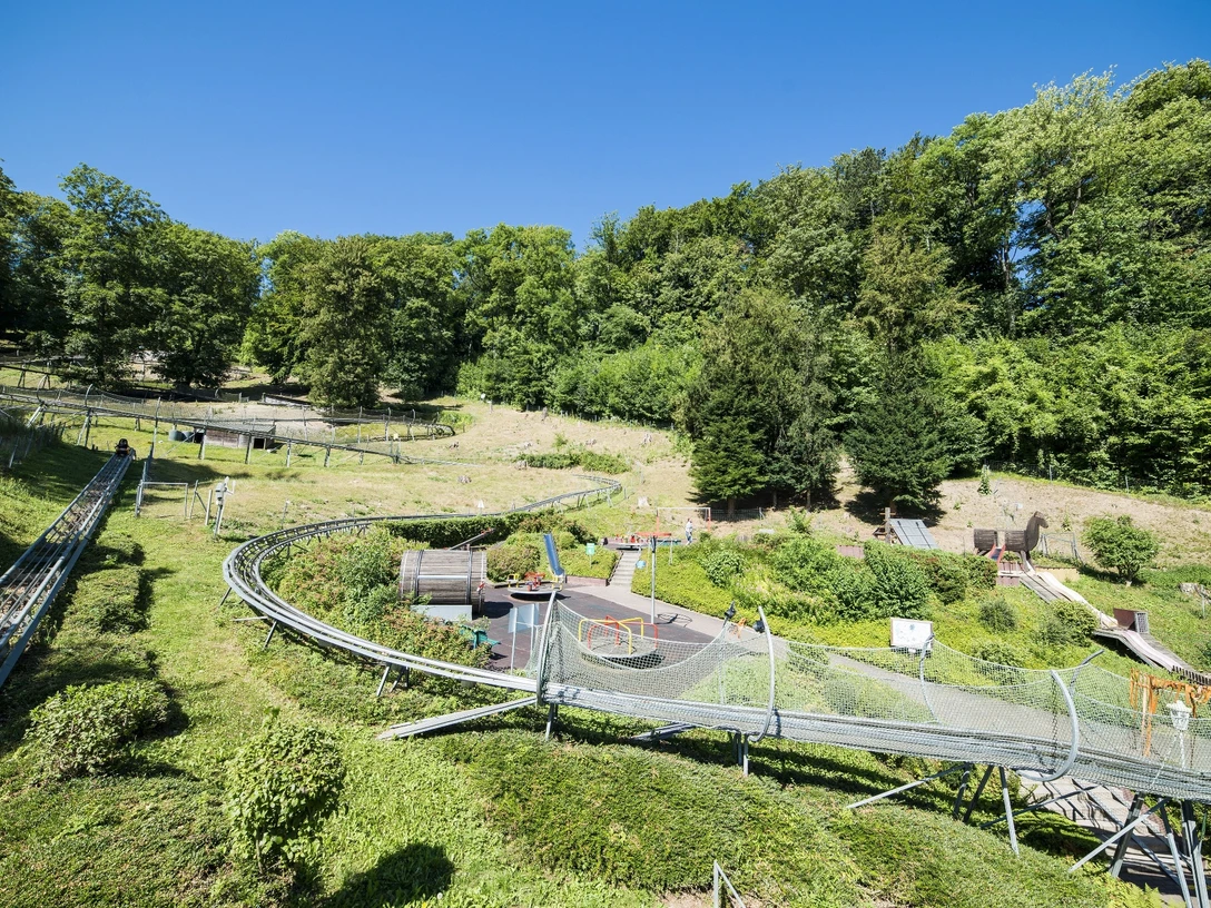 Sommer- Rodelbahn Bodenwerder_Rodelbahn