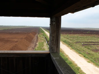 Uchter Moor Aussicht von einem hölzernen Turm über das weitläufige, naturbelassene Uchter Moor mit Pfad.View from a wooden tower over the extensive, natural Uchter Moor with path.Udsigt fra et trætårn over det store, uspolerede Uchter Moor med sti.Uitzicht vanaf een houten toren over het uitgestrekte, ongerepte Uchter Moor met pad.