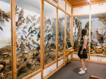 Naturzentrum Mittleres Nordfriesland in Bredstedt Naturzentrum