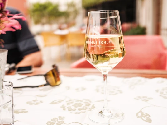 Weinprobe im Weingut Schuh