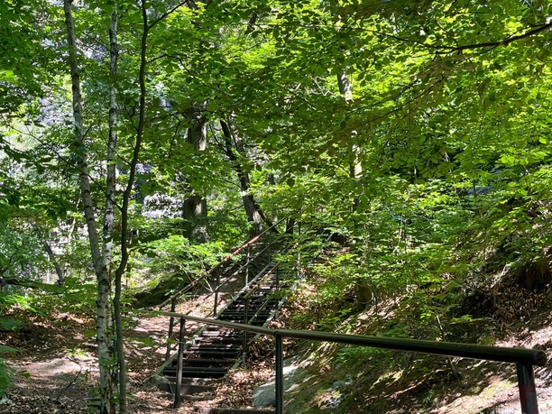 Digitaler Familienlehrpfad Lilienstein: Station 5 (Treppe am Südaufstieg zum Lilienstein)