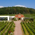 Weingut Matyas