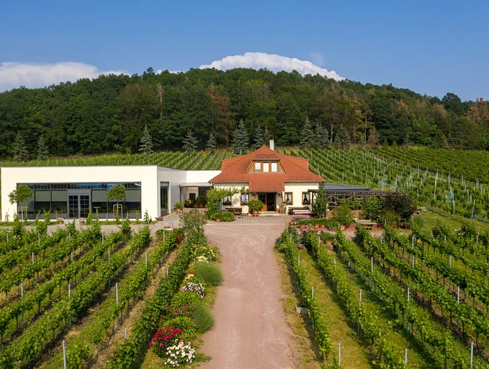 Weingut Matyas