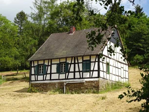 Steigerhaus Apfel Fachwerkhaus mit grauem Dach, grüne Fensterläden, umgeben von Bäumen und Wiese an einem sonnigen Tag.