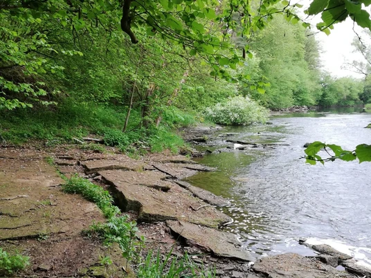 An der Edestede bei Birkenbringhausen