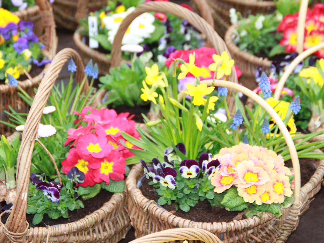 VKO-Sonntag-Frühlingsmarkt