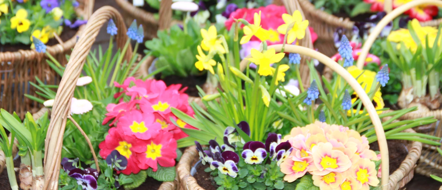 VKO-Sonntag-Frühlingsmarkt