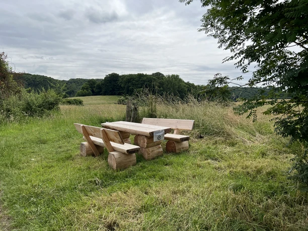 Hexenpfad Dorf Olpe Holztisch mit zwei Bänken auf Wiese, umgeben von grüner Natur und Bäumen unter bewölktem Himmel.