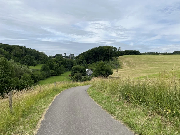 Hexenpfad Dorf Olpe Ein schmaler asphaltierter Weg schlängelt sich durch sanfte, grüne Hügel und Wiesenlandschaften.